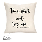 Throw Pillow Cover ONLY