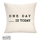 Throw Pillow Cover ONLY