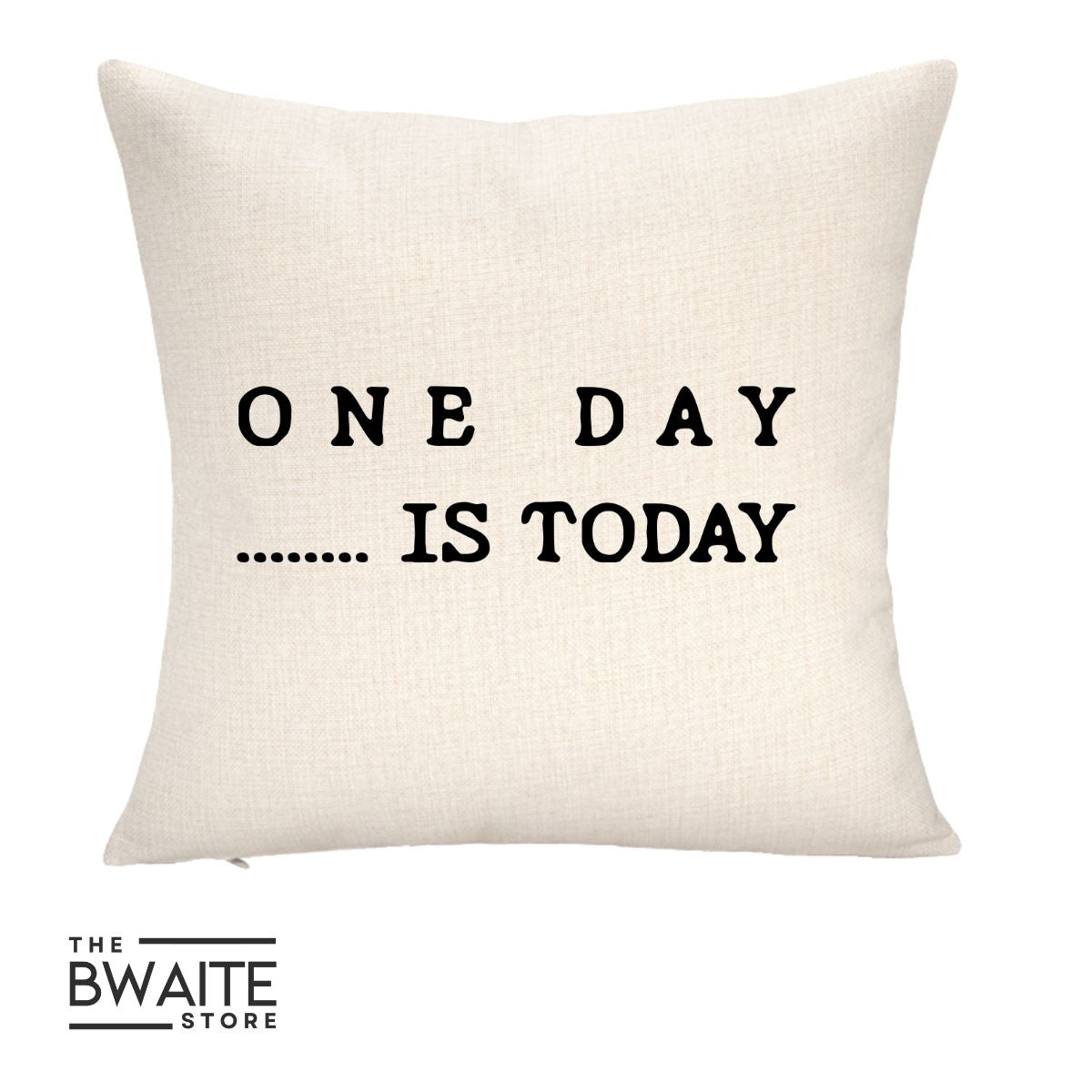 Throw Pillow Cover ONLY